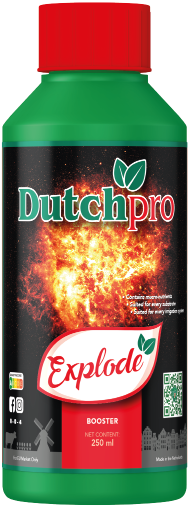 Dutchpro Explode