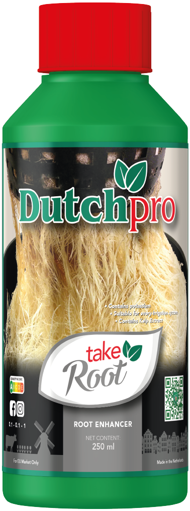 Dutchpro Take Root