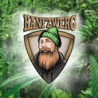 Hanfzwerg Seeds