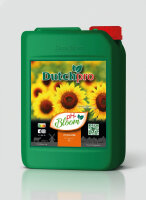 Dutchpro pH - BLOOM