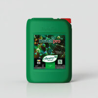Dutchpro Amino Strength