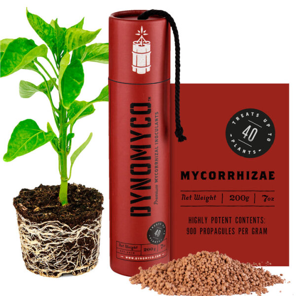 DynoMyco Dynamite Stick 200 g