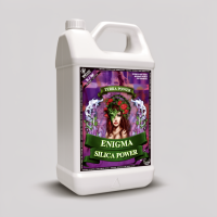 Terrapower Enigma - Power Plant