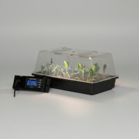 Romberg Gewächshaus Climatic M LED