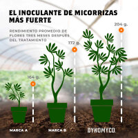 DynoMyco Mykorrhizal 750g