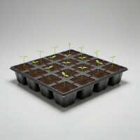 Eazy Plug CT12 12er Tray