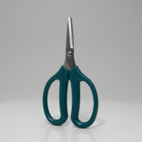 Taifun Bonsaischere Ikabana