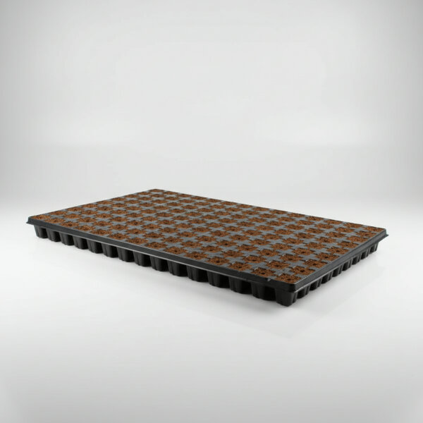 Eazy Plug 150er Tray Größe S