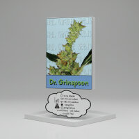 High Giraffe Seeds Feminized Dr. Grinspoon 3 Stück