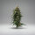 Autoflower Pineapple Express Fast Buds 2er