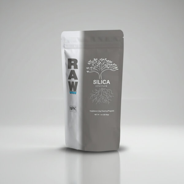 Raw Silica