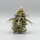 PAX Amnesia fem 3+1
