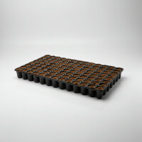 Eazy Plug rund 104C Tray