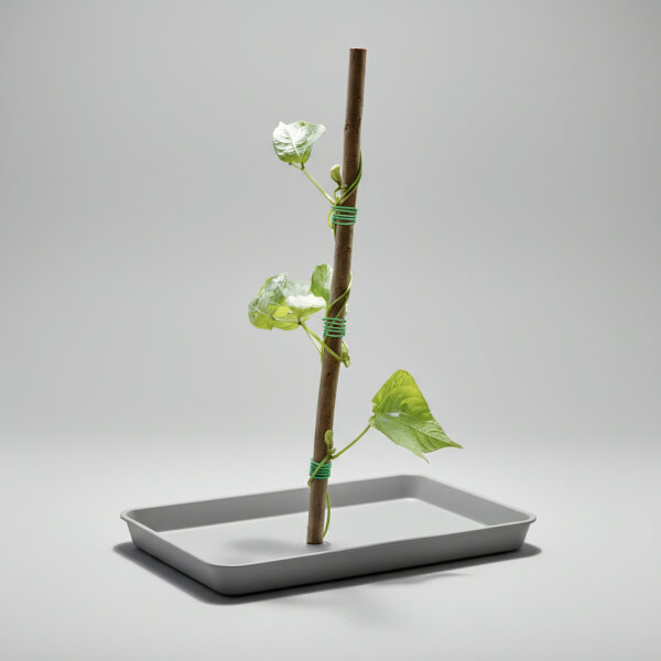 Gummi + Stahlbindedraht 5mm 3m Rolle