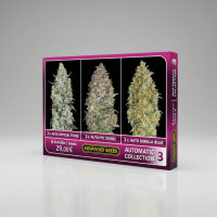 Advanced Seeds Automatic Collection 3 2x Auto Critical...