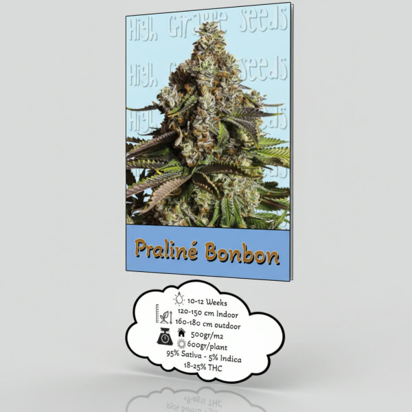 High Giraffe Seeds Feminized Praline BonBon 3 Stück