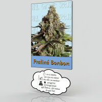 High Giraffe Seeds Feminized Praline BonBon 3 Stück