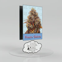 High Giraffe Seeds Fresco Gelato Feminized  3 Stück