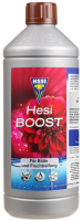 Hesi Boost 1 L
